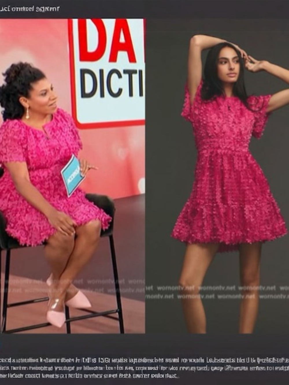 Anthropologie Somerset Floral Appliqué Mini Dress Pink Party Size S NWT - Picture 2 of 4